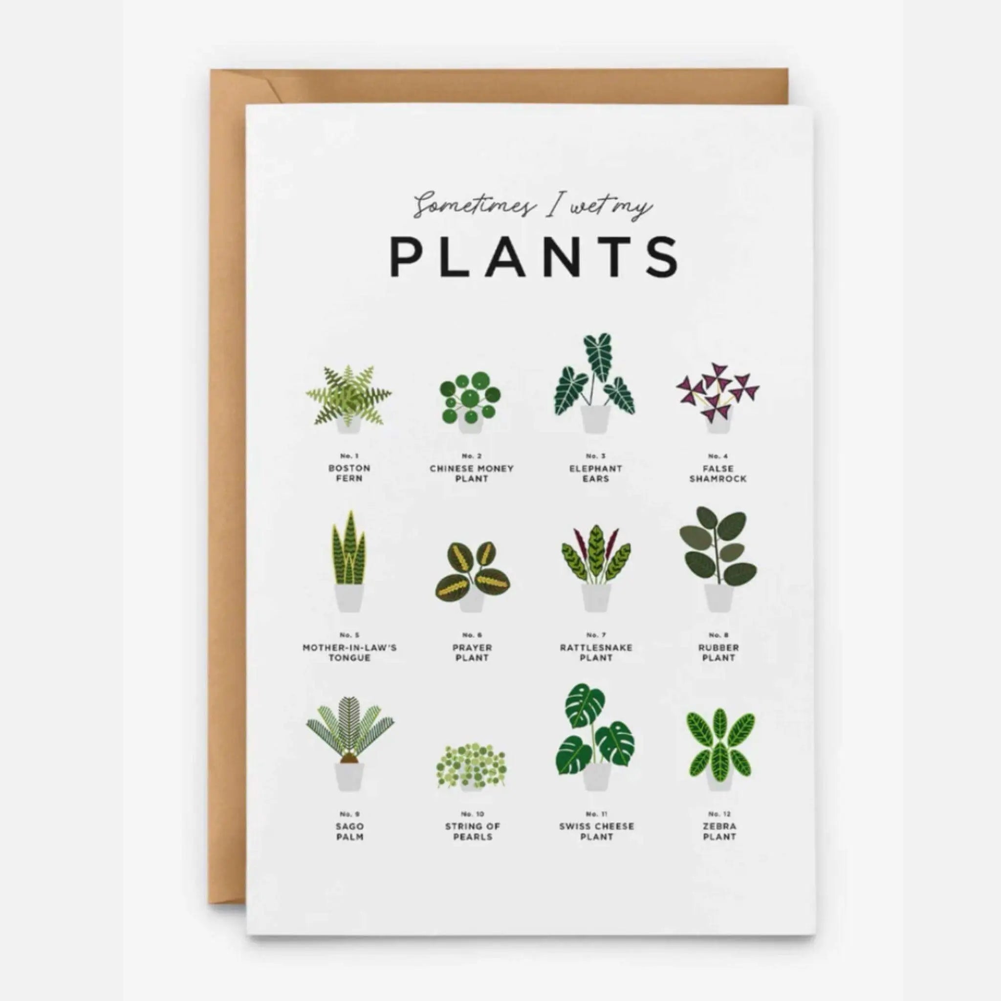 Sometimes I Wet My Plants Birthday Card - Prezzi