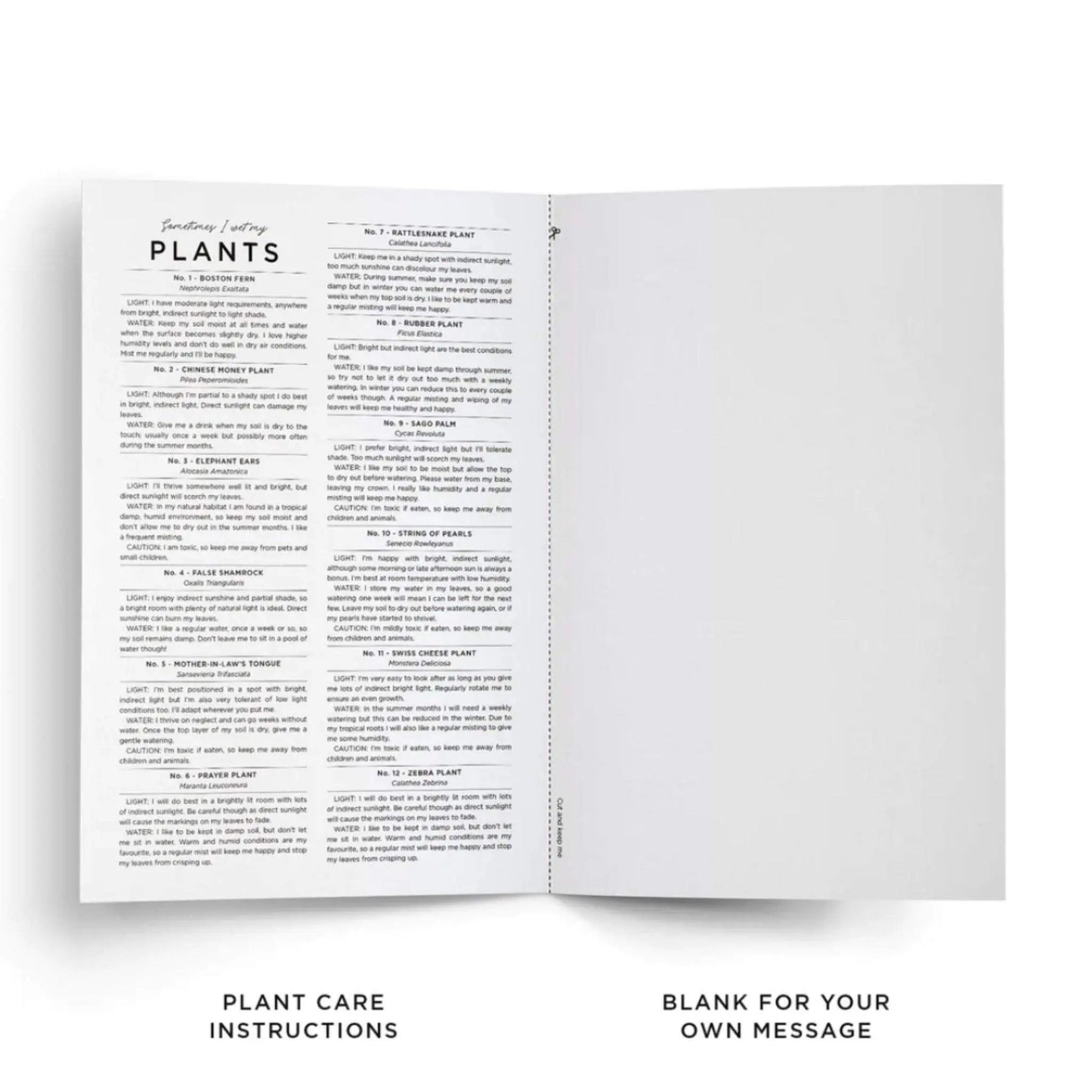 Sometimes I Wet My Plants Birthday Card - Prezzi