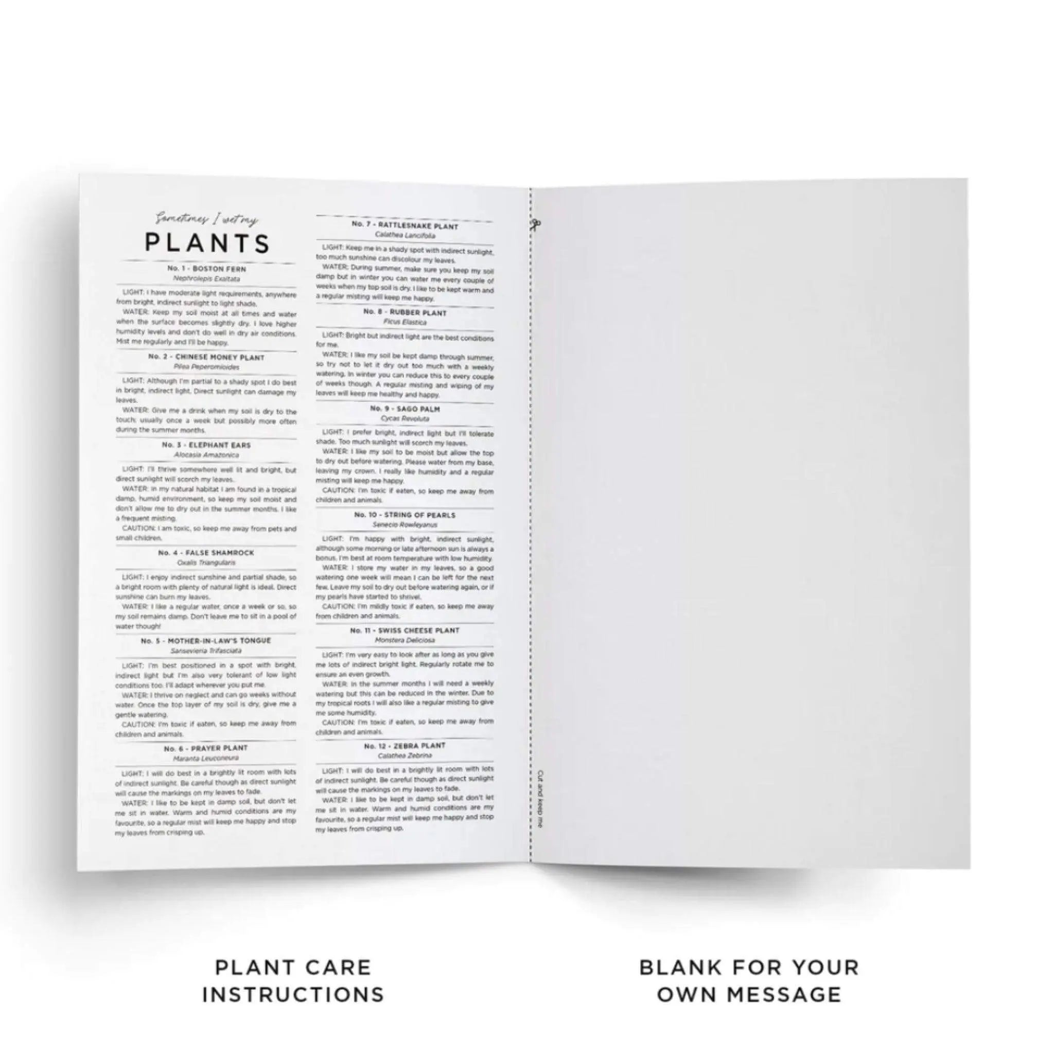 Sometimes I Wet My Plants Birthday Card - Prezzi