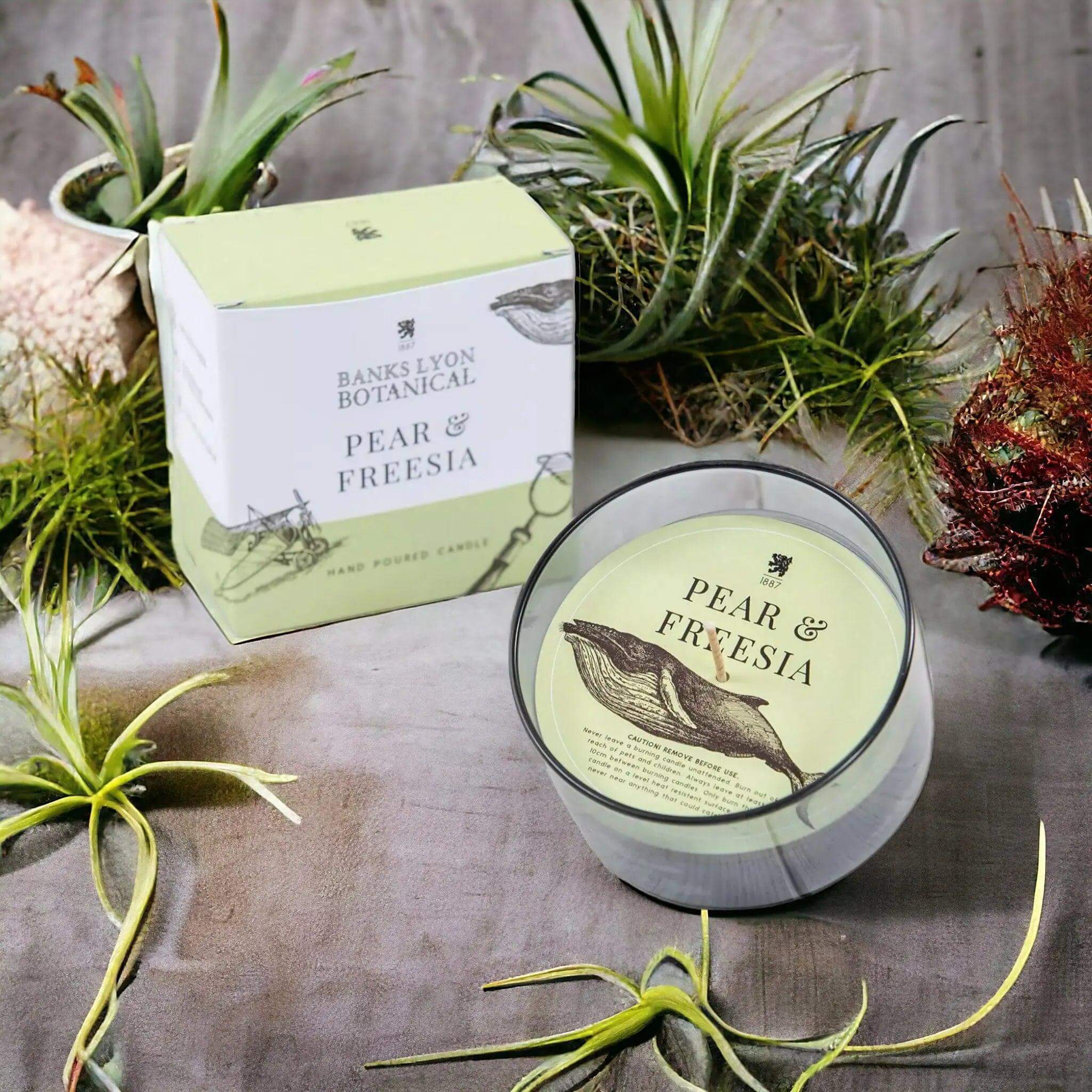 Pear & Freesia Candle - Prezzi