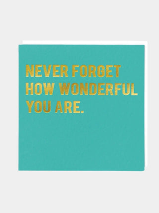 Never Forget How Wonderful You Are - Prezzi