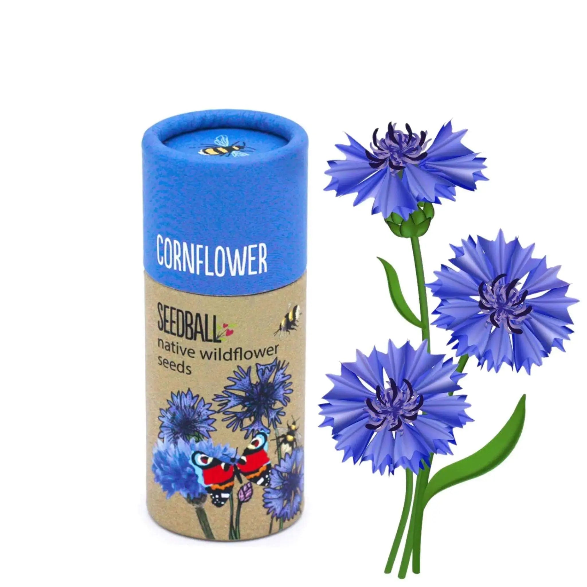 Seedball Cornflower - Prezzi