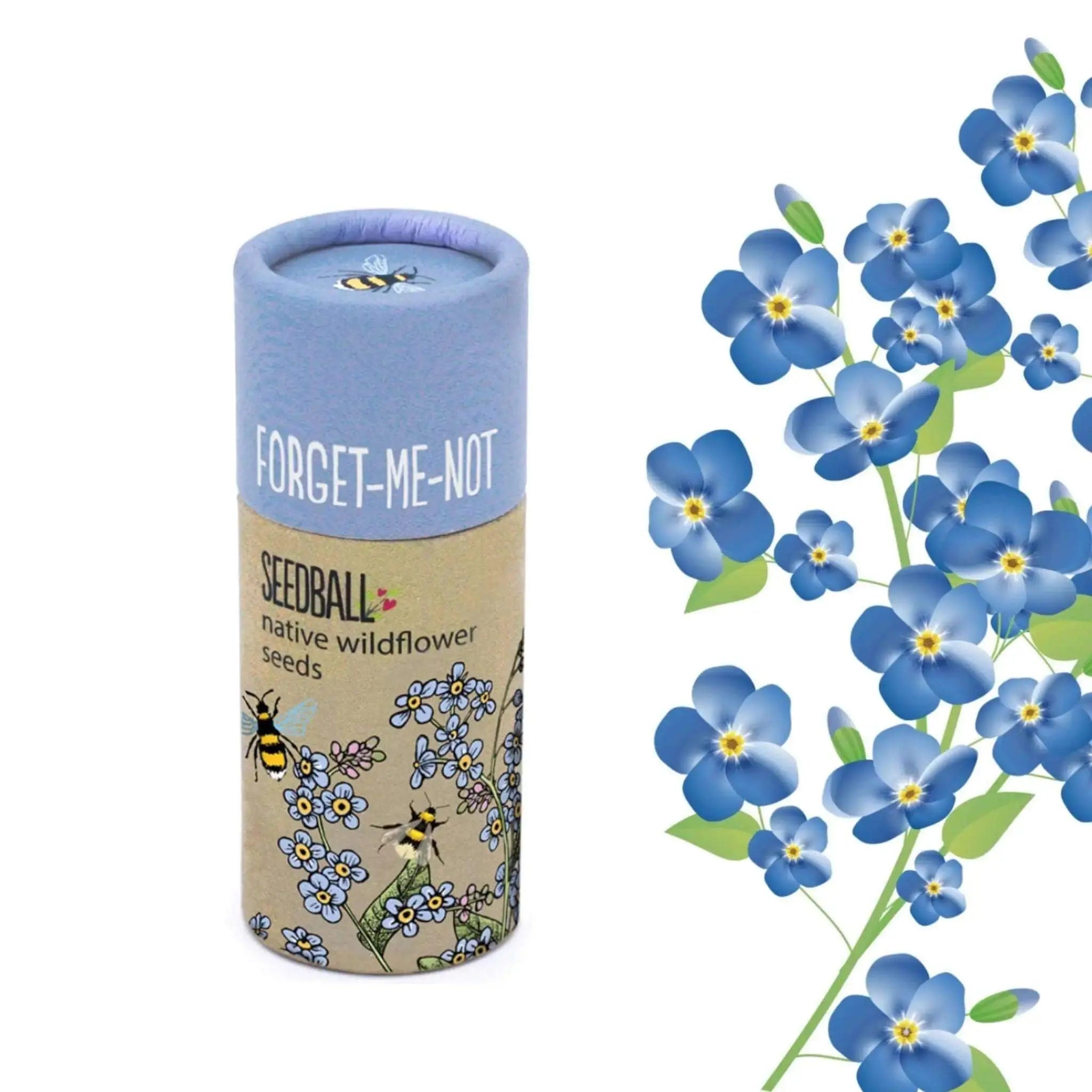Forget Me Not Seedball - Prezzi