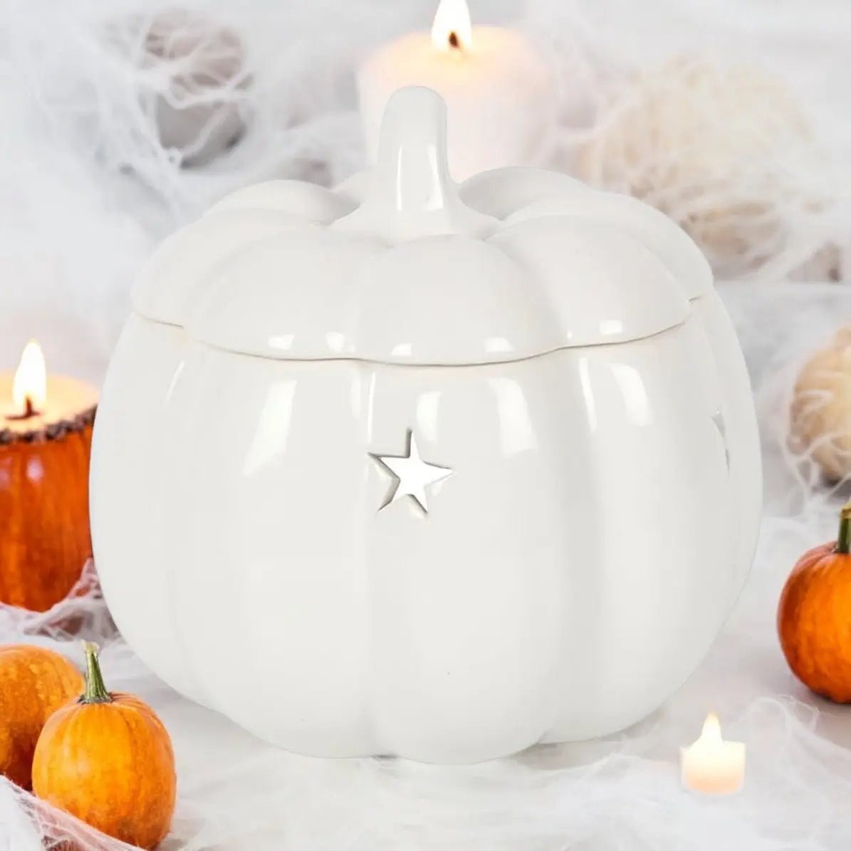 White Pumpkin Burner Something Different