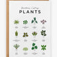 Sometimes I Wet My Plants Birthday Card - Prezzi