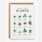 Sometimes I Wet My Plants Birthday Card - Prezzi