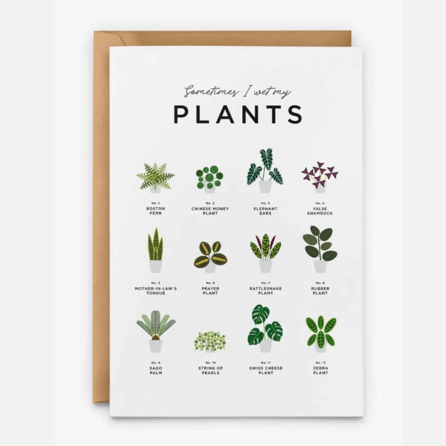 Sometimes I Wet My Plants Birthday Card - Prezzi
