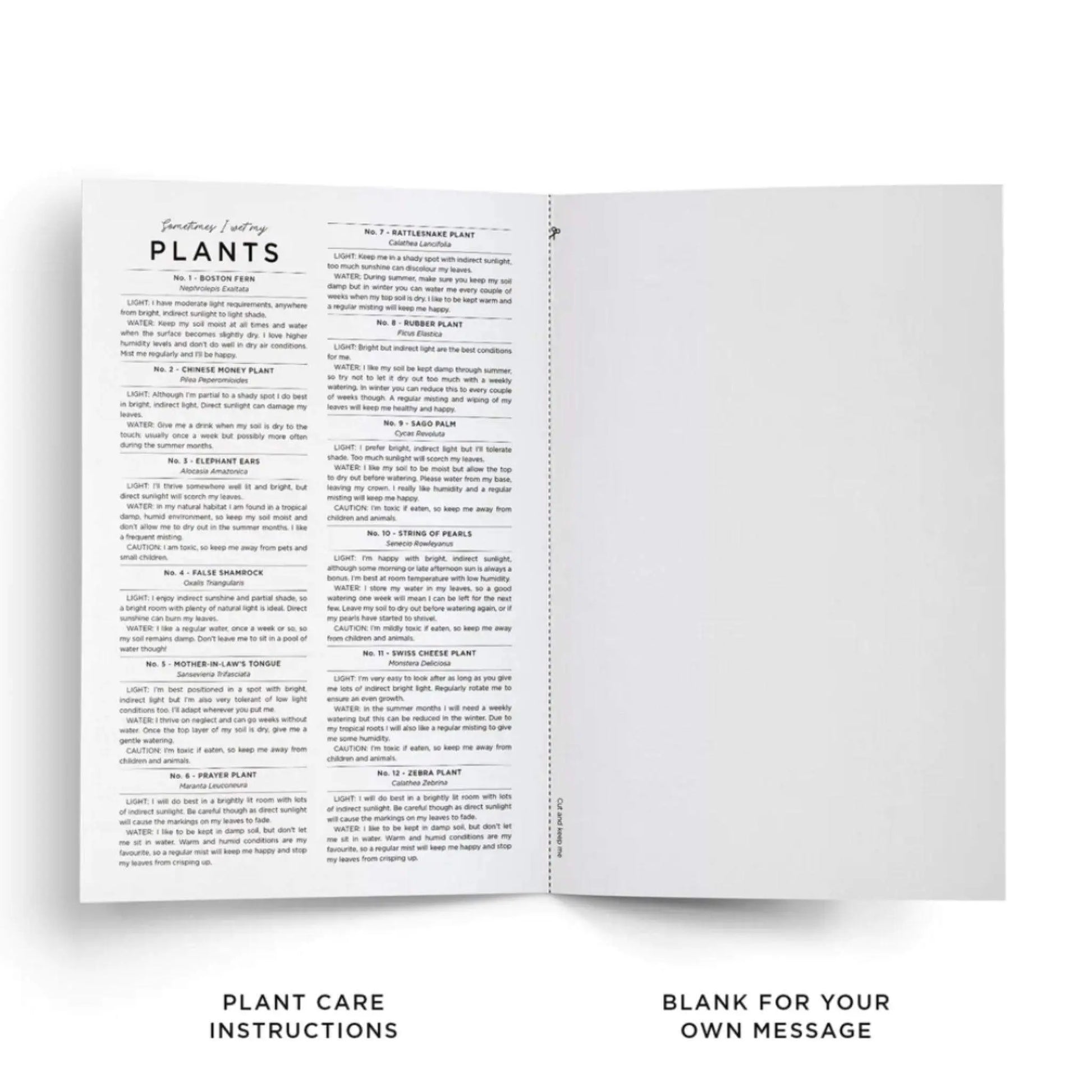 Sometimes I Wet My Plants Birthday Card - Prezzi
