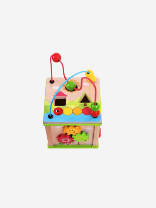 Multi Activity Wooden Cube - Prezzi