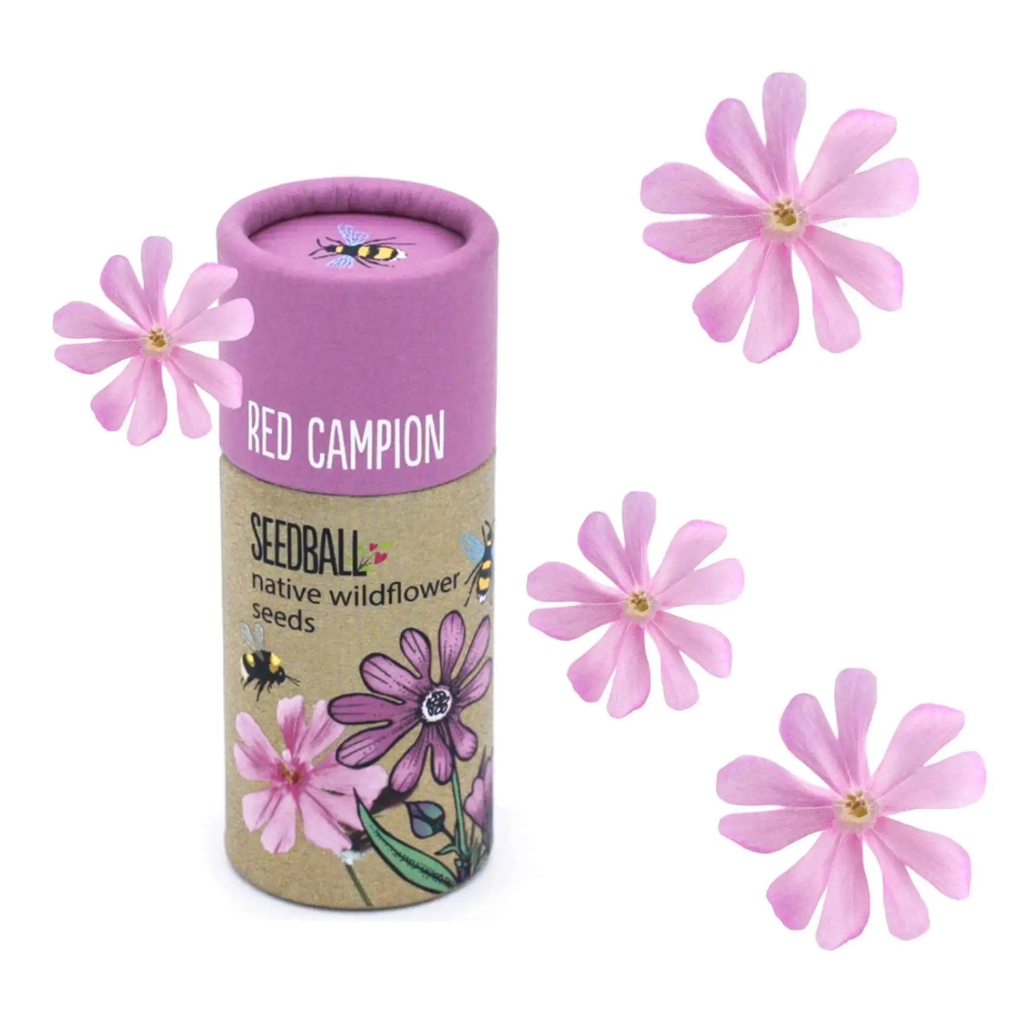 Red Campion Seedball - Prezzi
