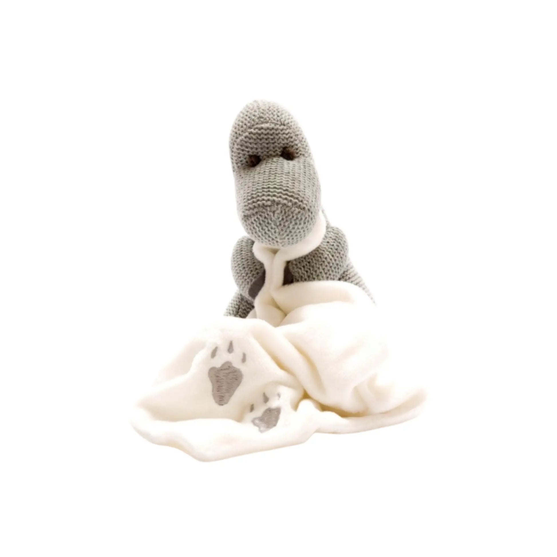 Knitted Organic Grey Dinosaur Fleece Comforter Best Years