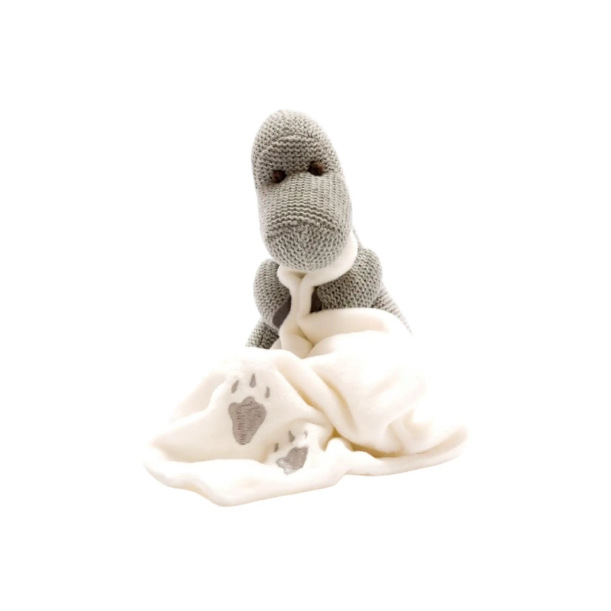 Knitted Organic Grey Dinosaur Fleece Comforter Best Years