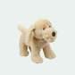 Jomanda Puppy Dog Golden - Prezzi
