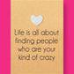 Bettie Confetti - Your Kind of Crazy - Prezzi