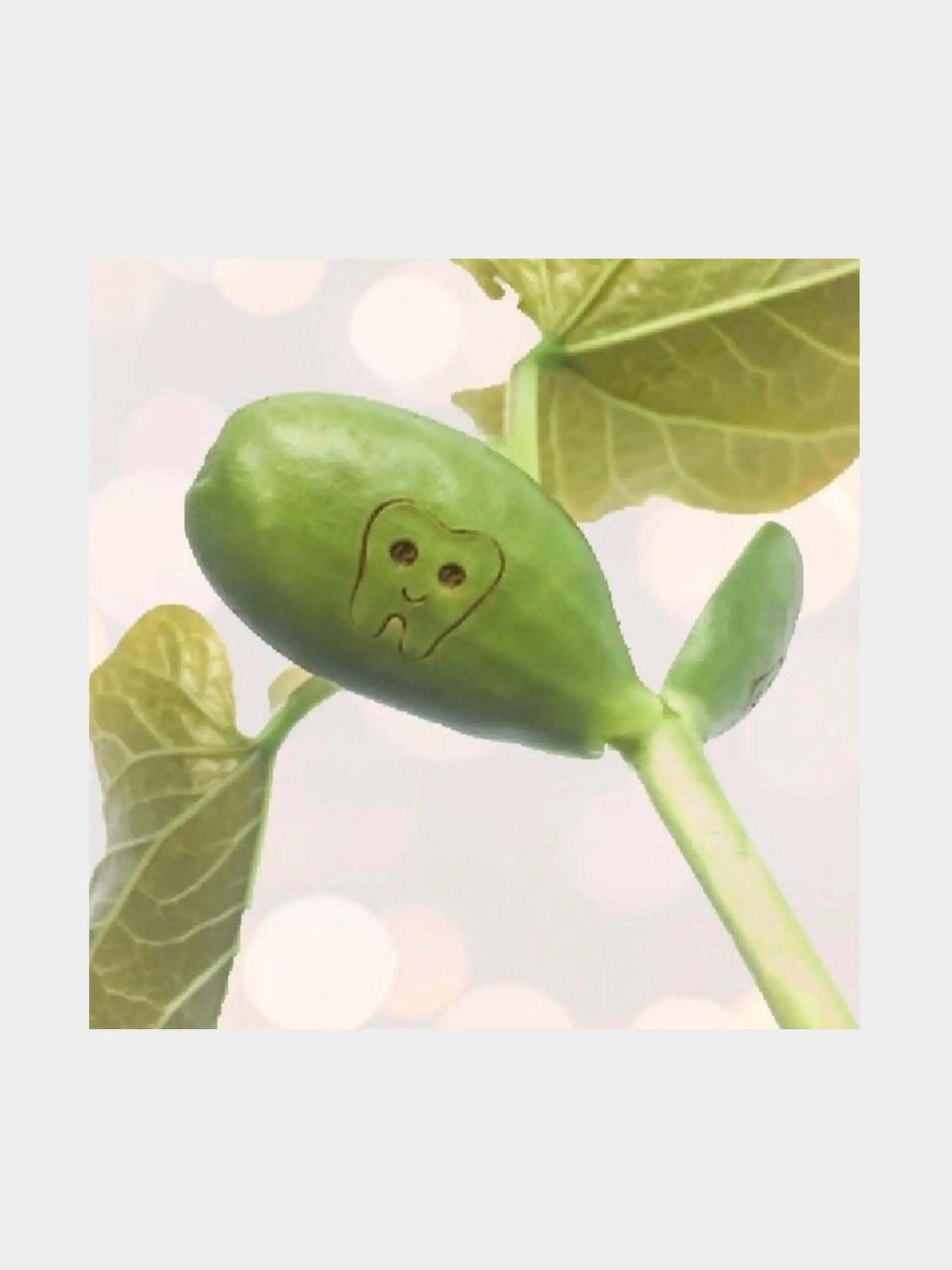 Tooth Fairy Bean Card - Prezzi